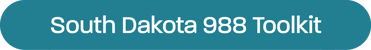 DSS_5.0988_SD988Toolkits (1)